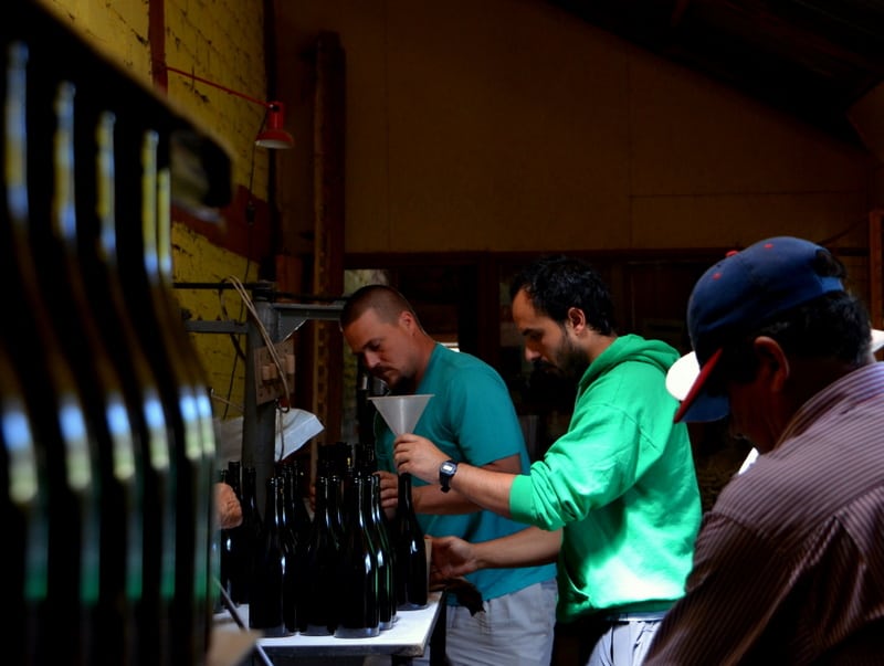 Wine Bottling Event